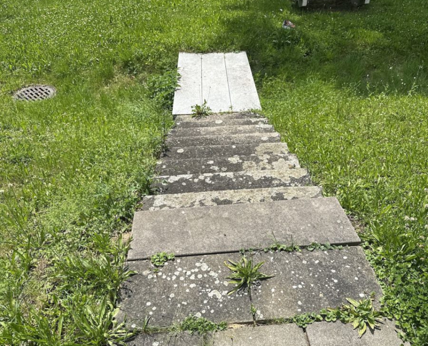 PV Anlagen Reinigung Baltmannsweiler PV Anlagen Reinigung Baltmannsweiler