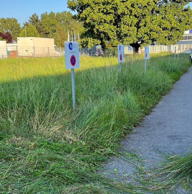 WhatsApp Image 2026-03-05 at 12.24.34 (3)