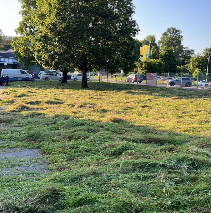 Gartenpflege Leonberg Gartenpflege Leonberg