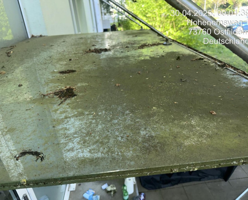 PV Anlagen Reinigung Baltmannsweiler PV Anlagen Reinigung Baltmannsweiler