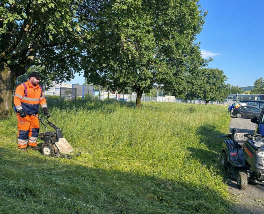 Gartenpflege Leonberg Gartenpflege Leonberg